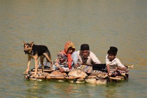 وقتی «بچه گرگ‌ها» قربانی می‌شوند/ از سینمای کودک فاصله
می‌گیرم