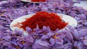 دومین محموله زعفران خراسان شمالی به بازارهای خارجی صادر
شد