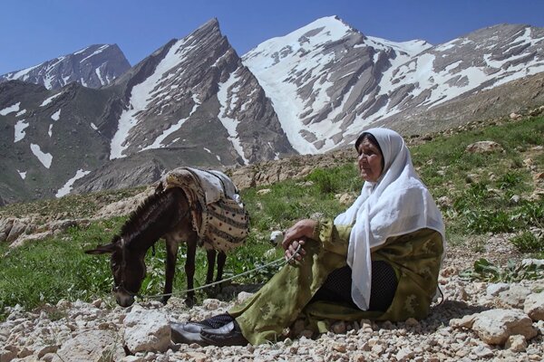 سوژه در مستند گاهی علیه خود عمل می‌کند/ آیینه تمام نمای
خودمان