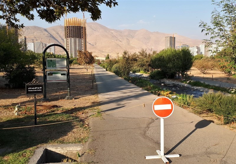 ساخت و ساز در بالادست باغ گیاه شناسی/ دستور توقف معاون اول
رئیس جمهور هم پروژه را متوقف نکرد + فیلم