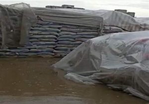 سیل اخیر زاهدان به حدود 300 تن برنج خسارت زد/ گمرک: شرکت
انبارهای عمومی به 3 اخطار پی در پی توجه نکرد