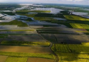 صدور سند تک برگ برای اراضی کشاورزی روستاهای بالای
20خانوار