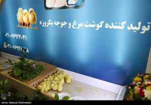 احصای مسائل بومی‌سازی جوجه یک روزه در نمایشگاه مسئله‌محور
سازمان اقتصادی کوثر