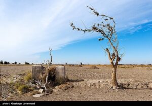 اقدام تازه طالبان برای محدودتر کردن سهمیه آب ایران/ افتتاح
کانال‌های "سد بخش‌آباد"