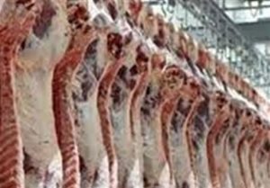 توزیع گسترده گوشت گوسفند روسی با قیمت 180 هزار تومان در
بازار