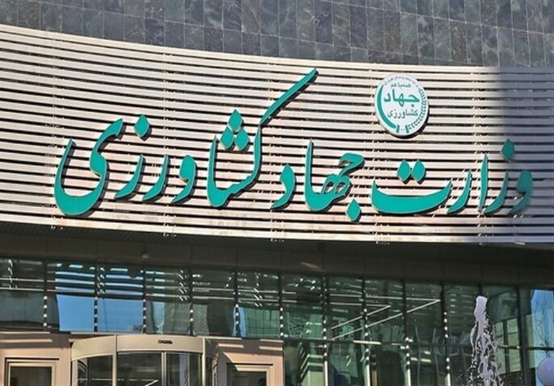 تولید نهاده‌ دامی در سال جاری 12 میلیون تن کاهش یافت