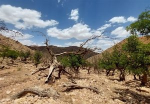 شمال تا جنوب ایران درگیر پیامدهای تغییر اقلیم است