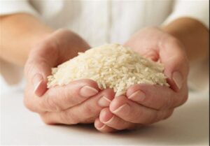 طرح شناسنامه‌دار کردن برنج ایرانی به زودی آغاز
می‌شود