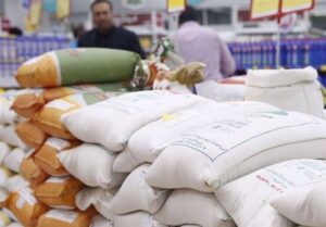 فعال بازار برنج: وزارت جهاد با آزمون و خطا بازار را نامتعادل کرد