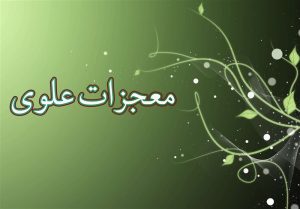معجزات علوی | زنده کردن بانویی که از حق امیرالمؤمنین دفاع کرد
