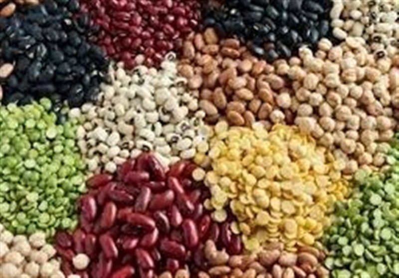 واردات حبوبات و گندم از اتحادیه اوراسیا با تعرفه صفر